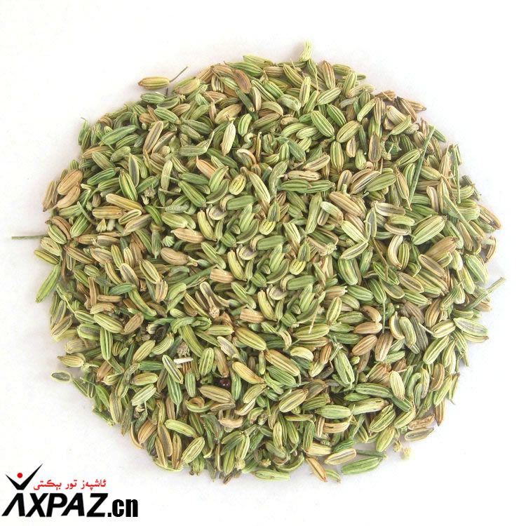 ئارپا بەدىيان(小茴香)