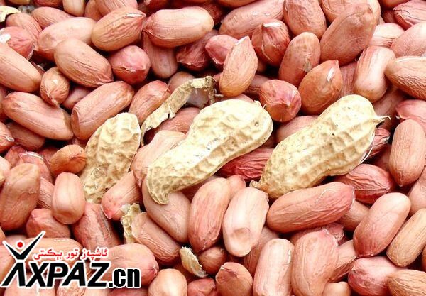 يەر ياڭىقى ئالتە خىل ئادەمگە ماس كەلمەيدۇ