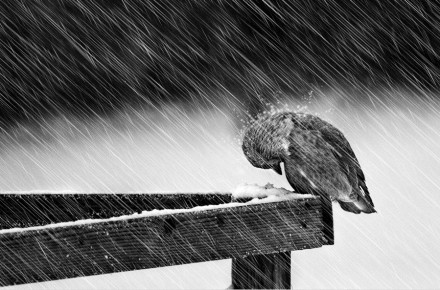 ھەرقانداق ۋاقىتتا ئىشەنچىڭىز بىلەن قەيسەرلىكىڭىزنى يوقىتىپ قويماڭ!