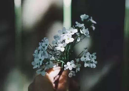 تۇغۇلغان كۈنىڭىزدىن قانچىلىك بايلىقىڭىز بولىدىغانلىقىنى بىلەلەيسىز