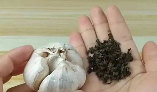 سامساق بىلەن چاينىڭ تۇرمۇشتىكى پايدىلىق تەرەپلىرى