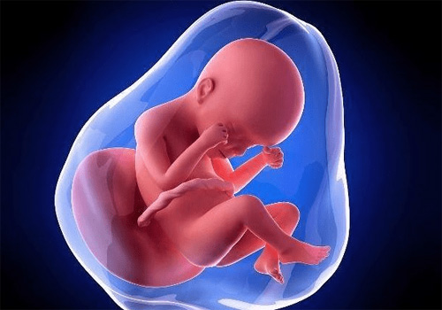 ھامىلدارلىق مەزگىلىدىكى باش سۈيى يىتىشمەسلىك ھادىسىسى