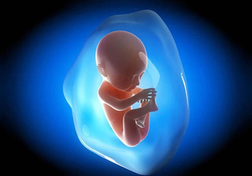 ھامىيلە توغرىسىدا سىز بىلمەيدىغان ئون ئىككى تۈرلۈك ساۋات
