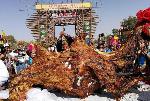 جاھاندىكى ئەڭ چوڭ تائام—تۆگە كاۋىپى